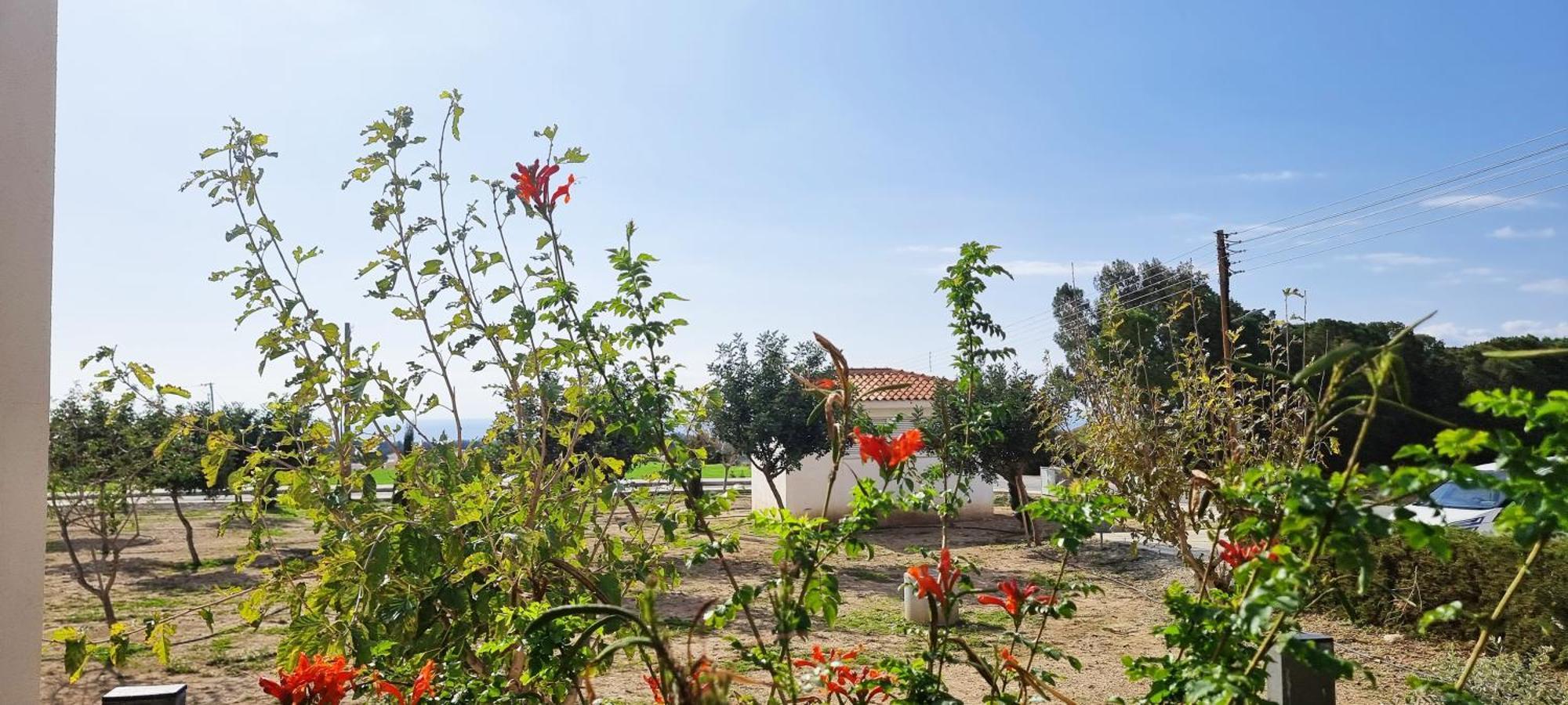 Shanti Paphos Villa 외부 사진